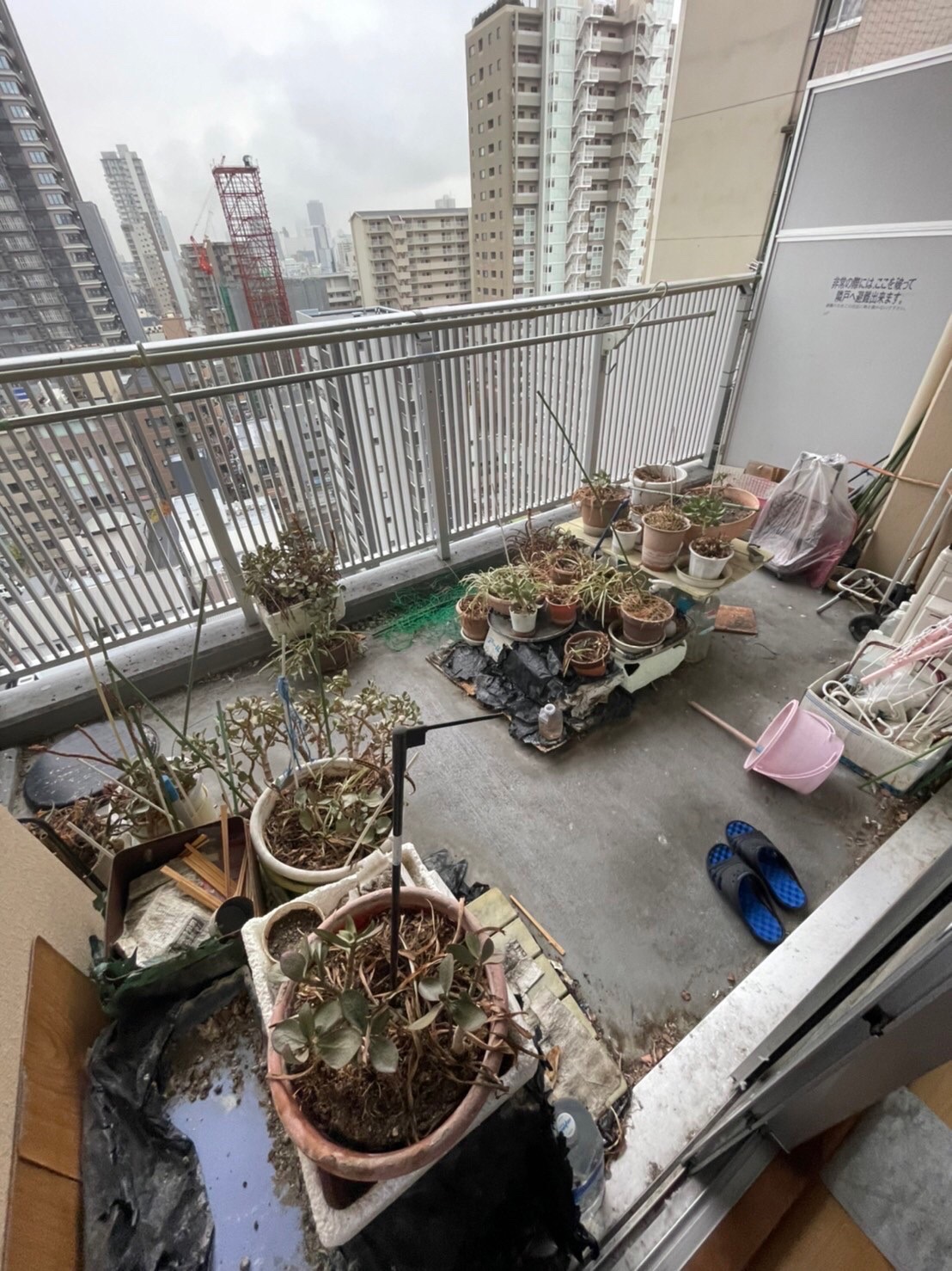 神戸市東灘区で不用品回収の口コミ、評判